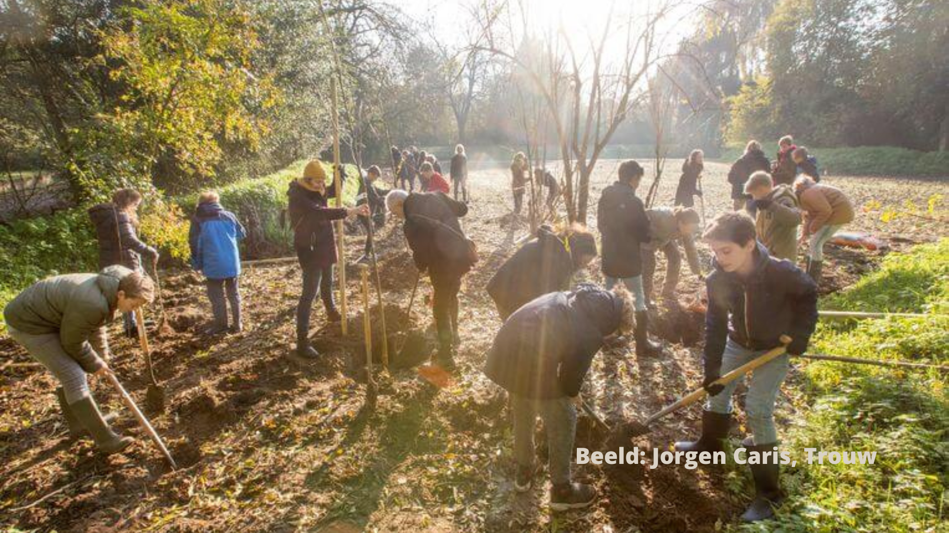 Leerlingen van de Stichtse Vrije School in Zeist helpen Sonne Copijn met het planten van bomen en struiken. Beeld: Jorgen Caris, Trouw